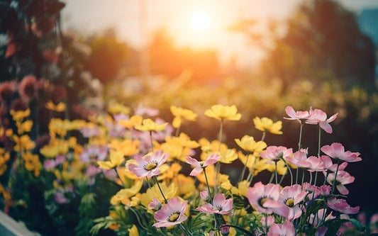 Endlich Frühling: 6 Tipps für die schönste Zeit des Jahres!